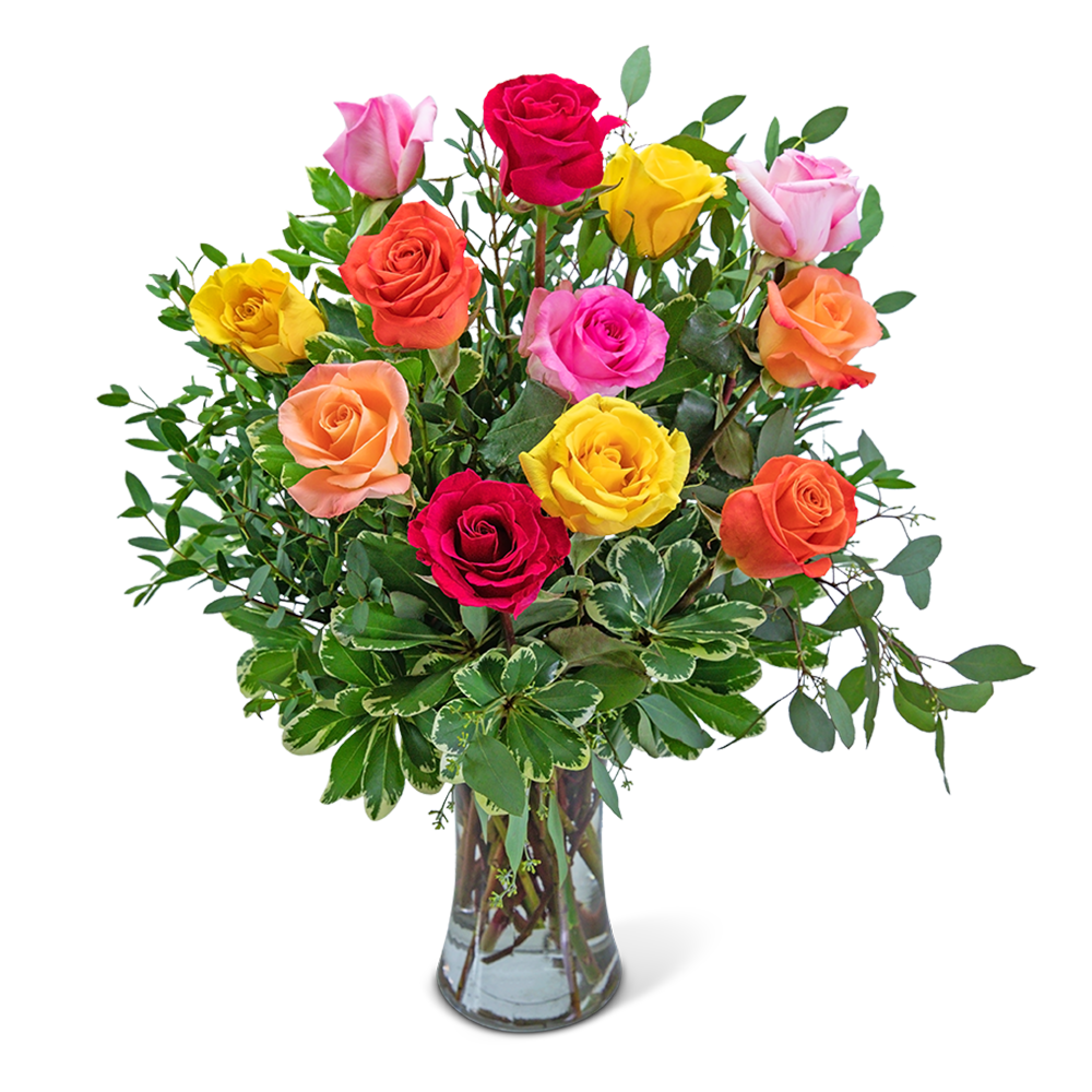 One Dozen Vibrant Roses
