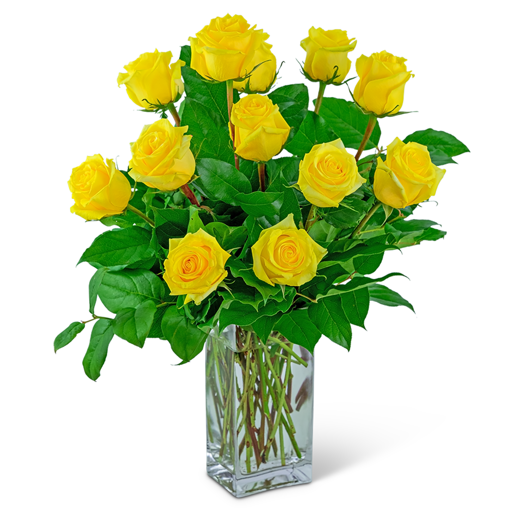 Yellow Roses (12)