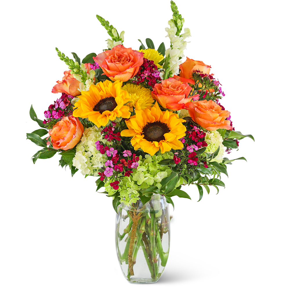 Stunning Seasonal Blooms