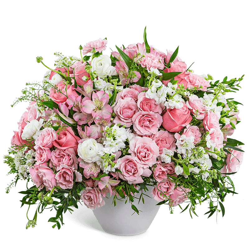 Provence Rose Garden