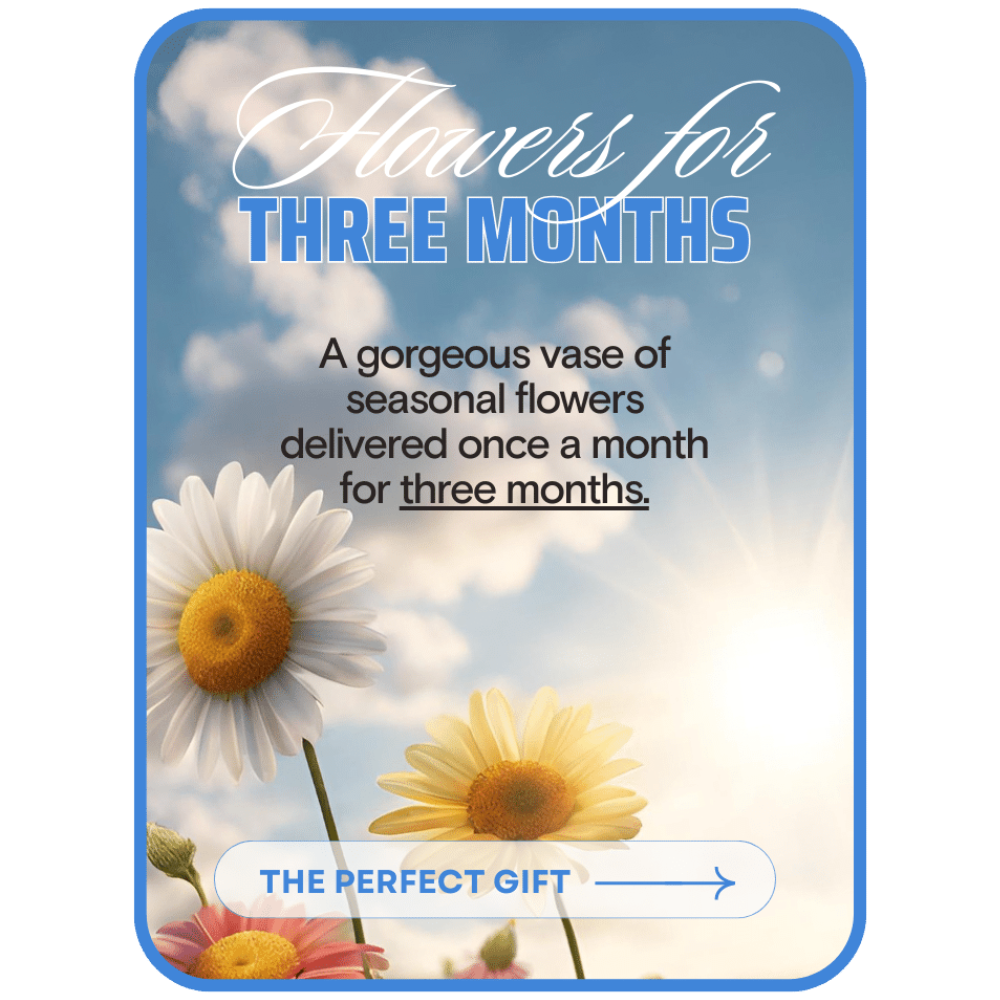 Bouquet of the Month Club (3)