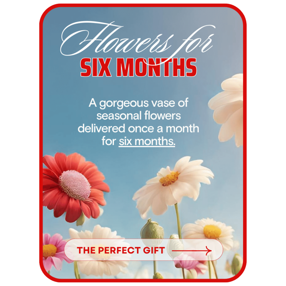 Bouquet of the Month Club (6)