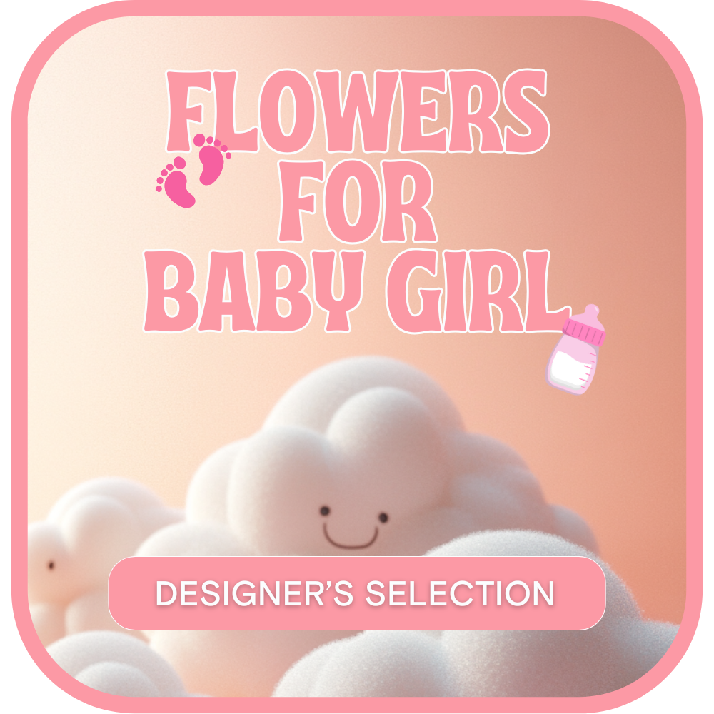 Designer's Selection Baby Girl