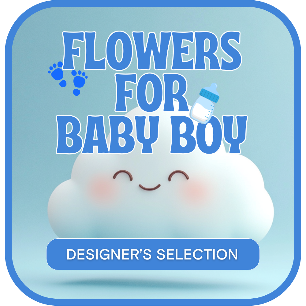 Designer's Selection Baby Boy