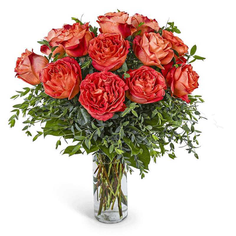 One Dozen Wild Spirit Roses