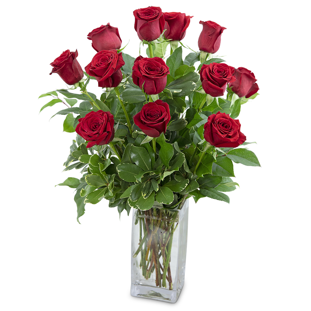 Classic Dozen Red Roses
