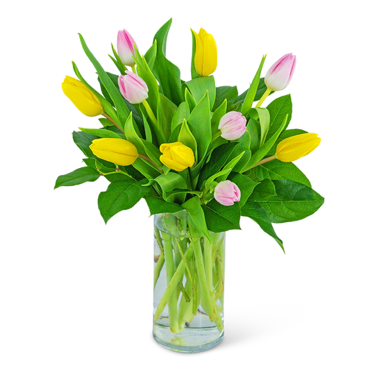 Strawberry Lemonade Tulips