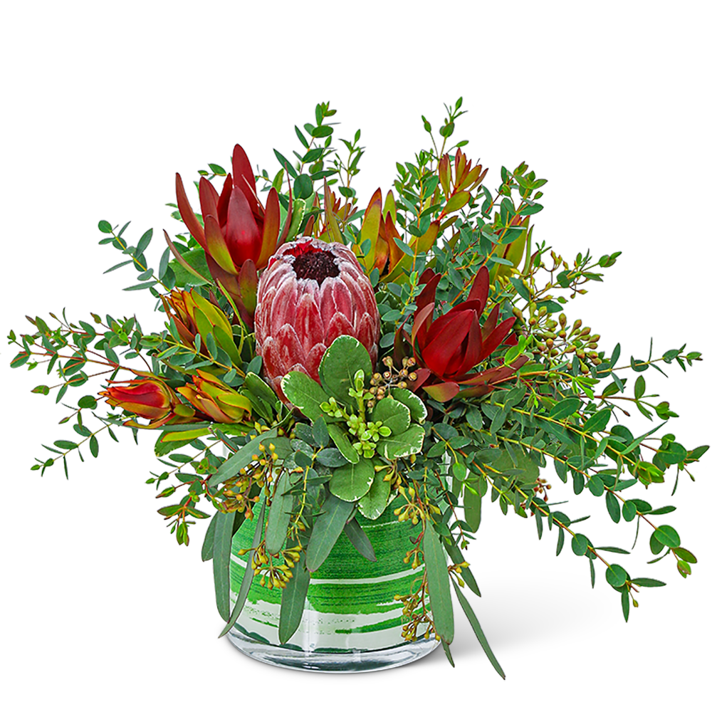 Protea Wilderness