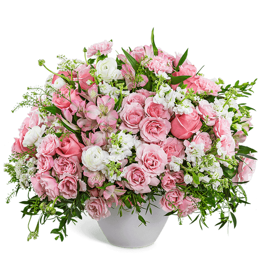 Provence Rose Garden
