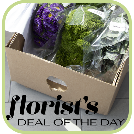 Florist's Deal of the Day