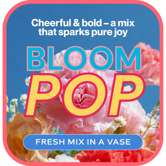 Cheerful & Bold - Designer's Choice