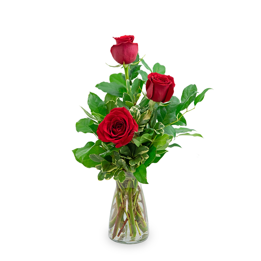 Red Roses (3)