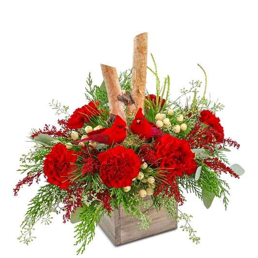 Woodland Cardinal Cheer